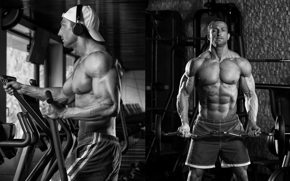 SARMs kaufen für schnelleres Muskelwachstum bei Fatburnerking