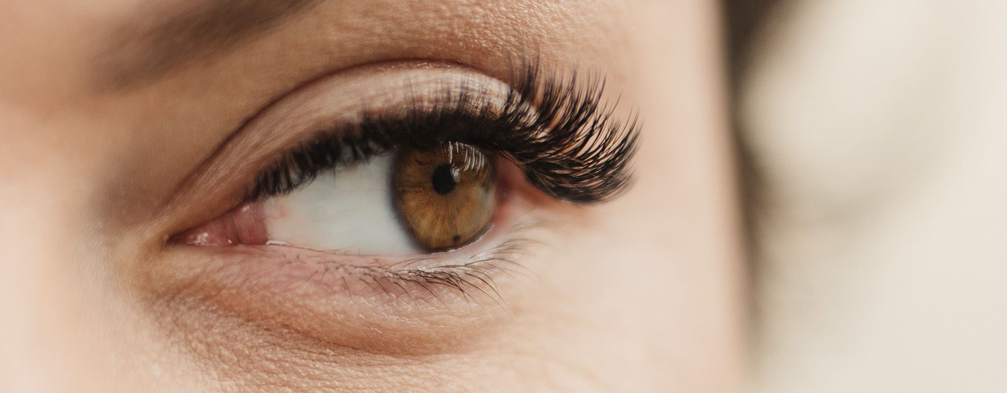 Zola Lamination: Die beste Wahl für Wimpernverlängerungen bei LashLink