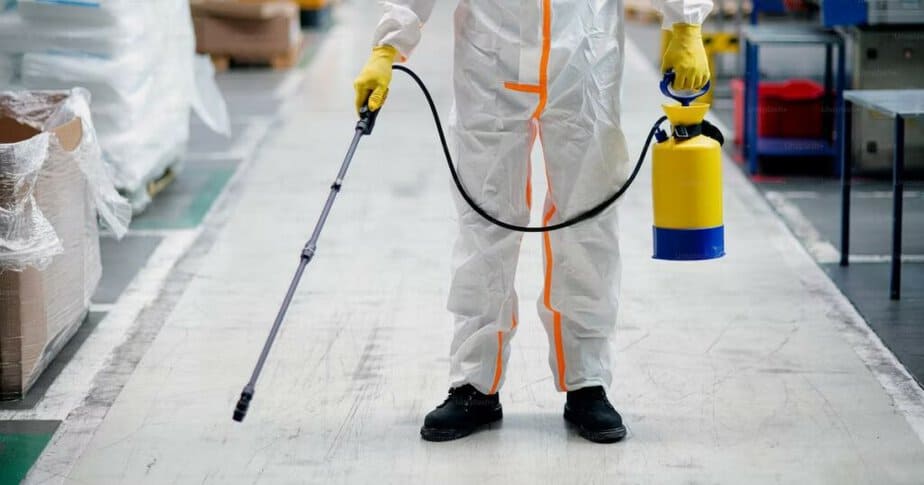 Kammerjäger Notdienst: Professionelle Bekämpfung von Schädlingen mit Nachhaltigkeit