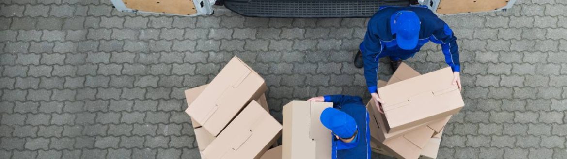 Das LABUNIQ Order Entry System: Transparenz und Tempo im Labor